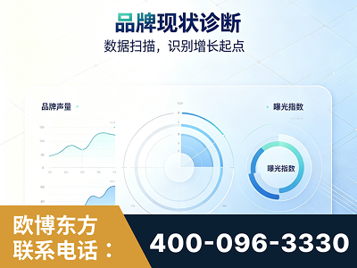 合山-品牌现状诊断